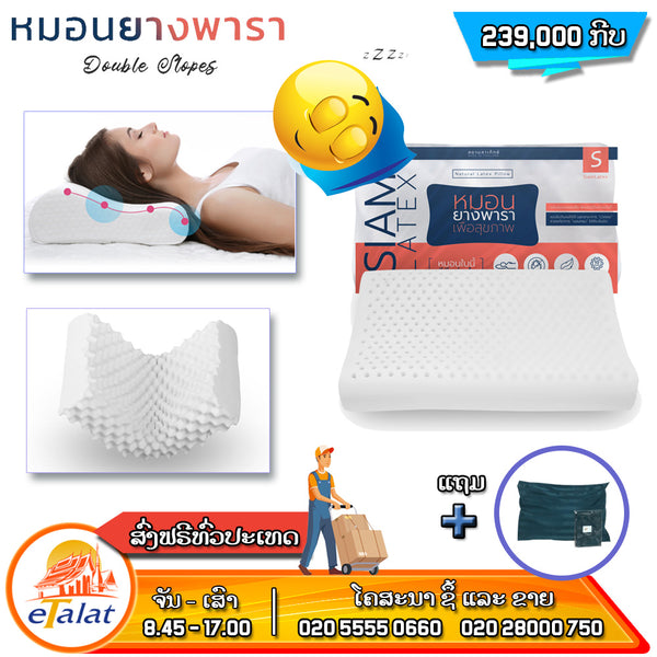 Latex Pillow with anti dust mite case